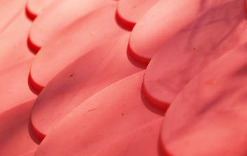 Shawbank plastic roof costs