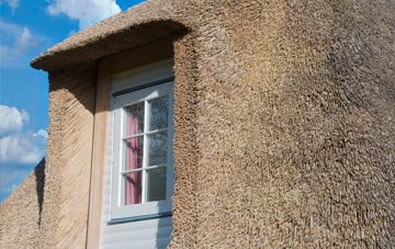 Shawbank thatch roof disadvantages
